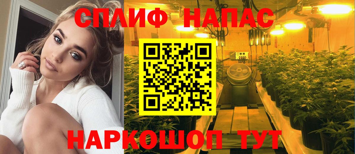 Бошки марихуана VHQ Брянск